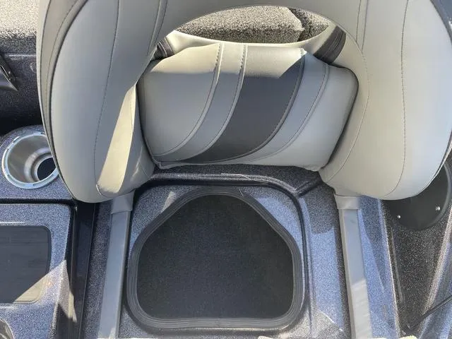 Slide: The Image of Bass Cat Cougar FTD SP 2025 - 20