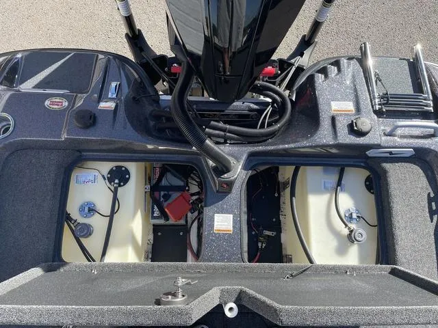 Slide: The Image of Bass Cat Cougar FTD SP 2025 - 33