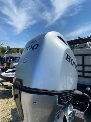 Slide: The Image of Sylvan L-3 Party Fish 2024 - 2