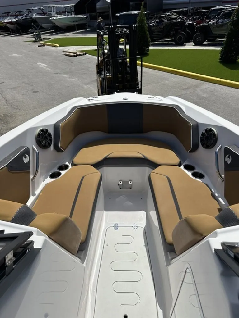 Slide: The Image of Scarab 255 G 2019 - 10