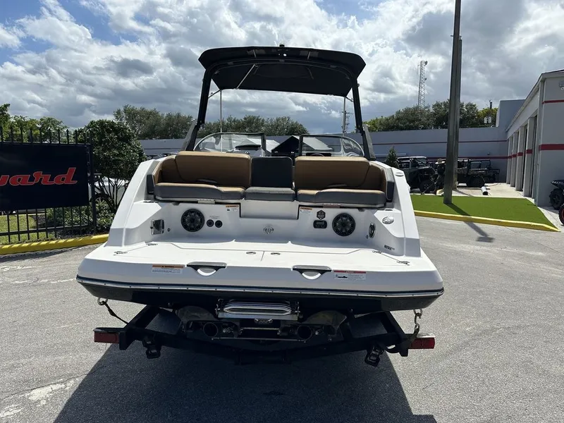 Slide: The Image of Scarab 255 G 2019 - 3