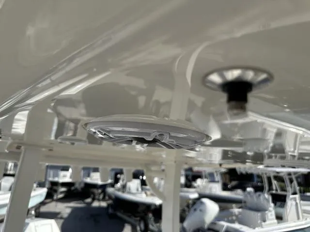 Slide: The Image of Blackwood 290 LX Open 2024 - 22