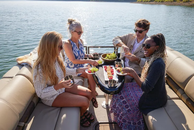 Slide: The Image of Manufacturer Provided Image - 79