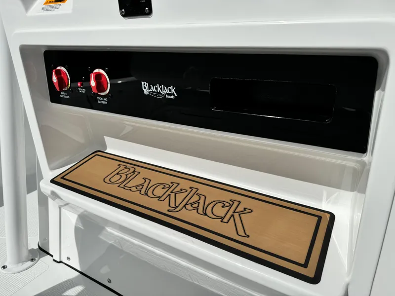 Slide: The Image of Control panel of 2025 BlackJack 256 Bay boat with branded mat. - 29