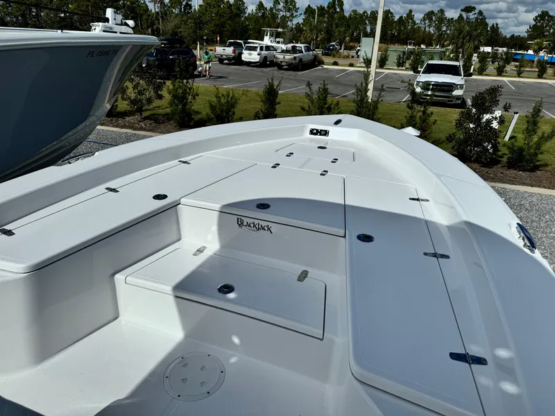 Slide: The Image of 2025 BlackJack 256 Bay boat with spacious deck and storage compartments. - 8