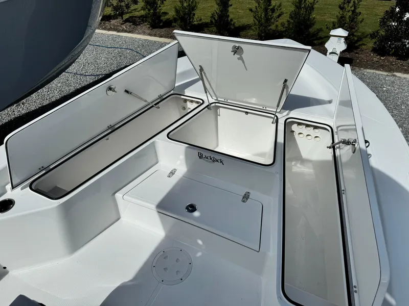 Slide: The Image of 2025 BlackJack 256 Bay boat storage compartments open, showcasing spacious design. - 9