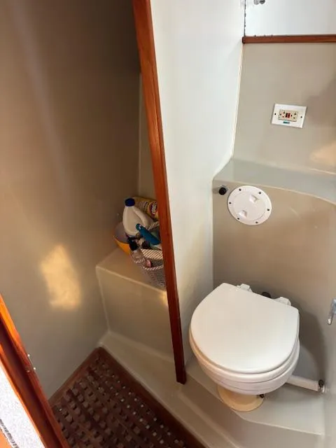 Slide: The Image of Electric Head - 19