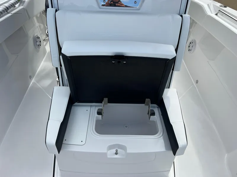 Slide: The Image of Blackfin 272 CC 2025 - 73