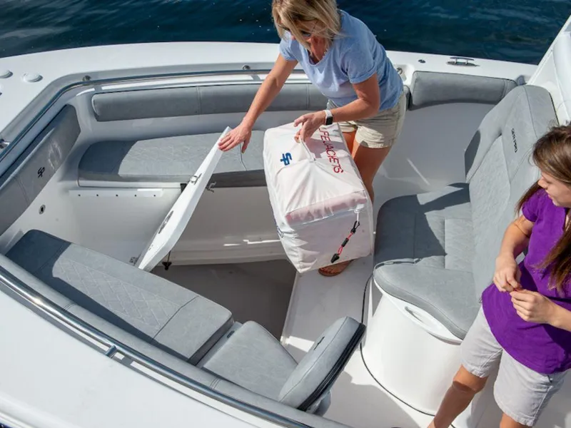 Slide: The Image of 2025 Sea Pro 242 DLX boat interior with storage compartment and seating. - 10