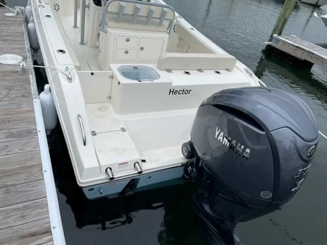 Slide: The Image of Cobia 237 CC 2023 - 5