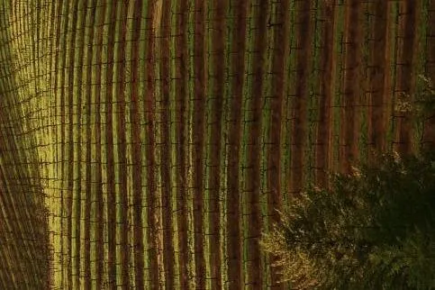 Slide: The Image of egwgwg - 3