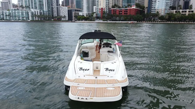 Slide: The Image of 2008 Sea Ray 290 SLX boat on water with city skyline background. - 8
