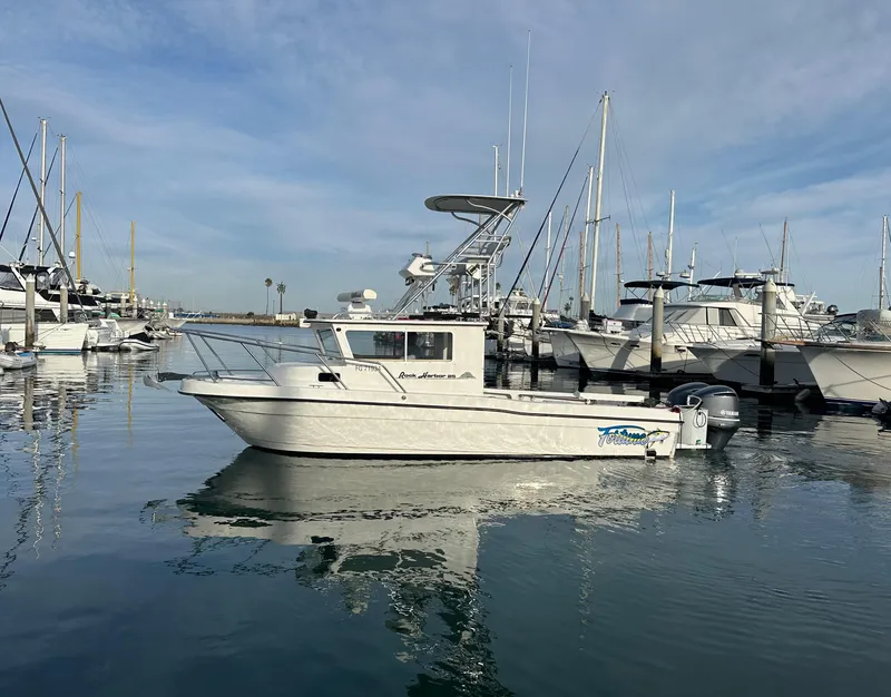 The Image of Port Profile - 0