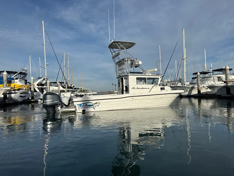 Slide: The Image of Strb Profile - 1