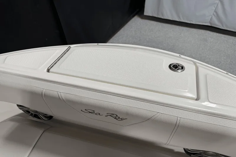 Slide: The Image of Sea Ray SDX 250 2025 - 108