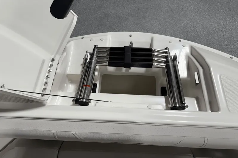 Slide: The Image of Sea Ray SDX 250 2025 - 109