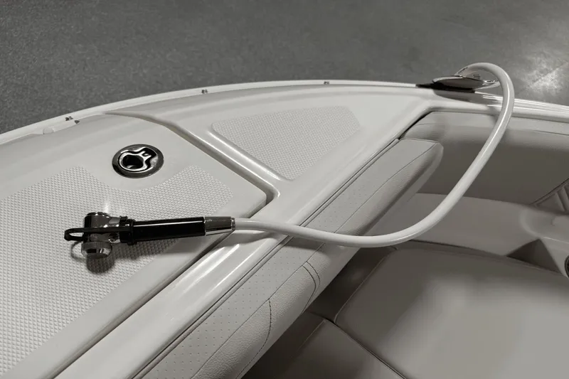 Slide: The Image of Sea Ray SDX 250 2025 - 112