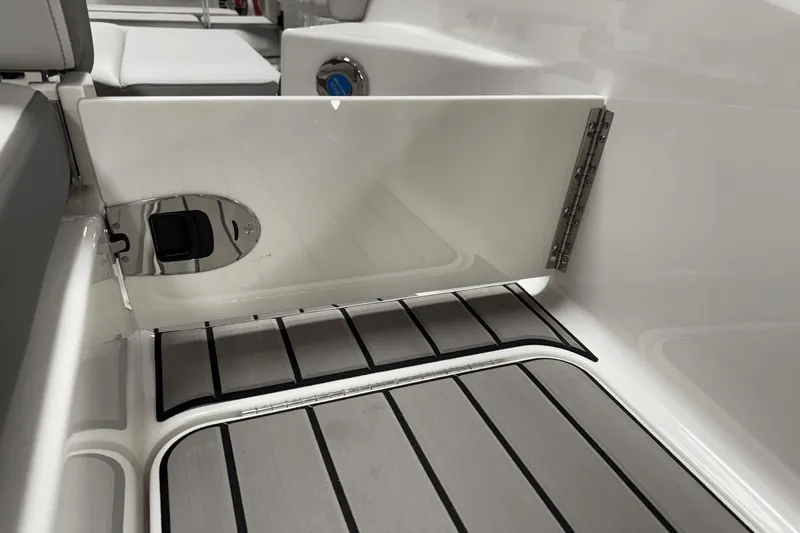 Slide: The Image of Sea Ray SDX 250 2025 - 30