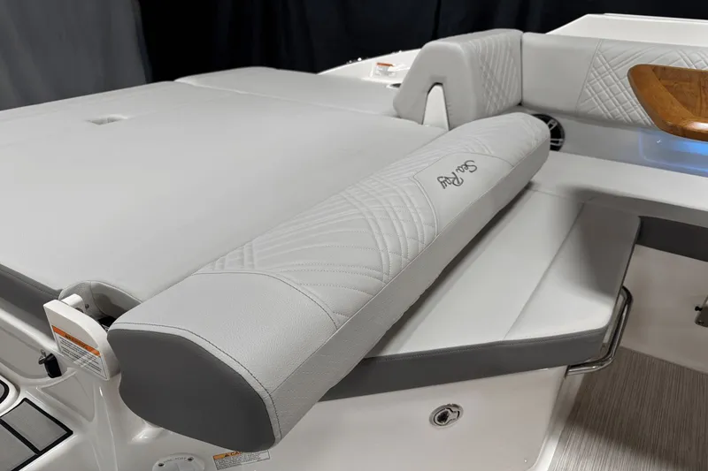 Slide: The Image of Sea Ray SDX 250 2025 - 44