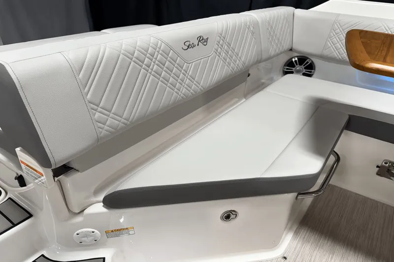 Slide: The Image of Sea Ray SDX 250 2025 - 45