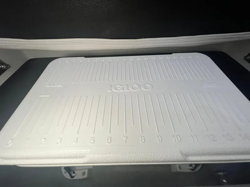 Slide: The Image of Igloo cooler in 2025 Crownline Eclipse E260 XS boat storage compartment. - 12