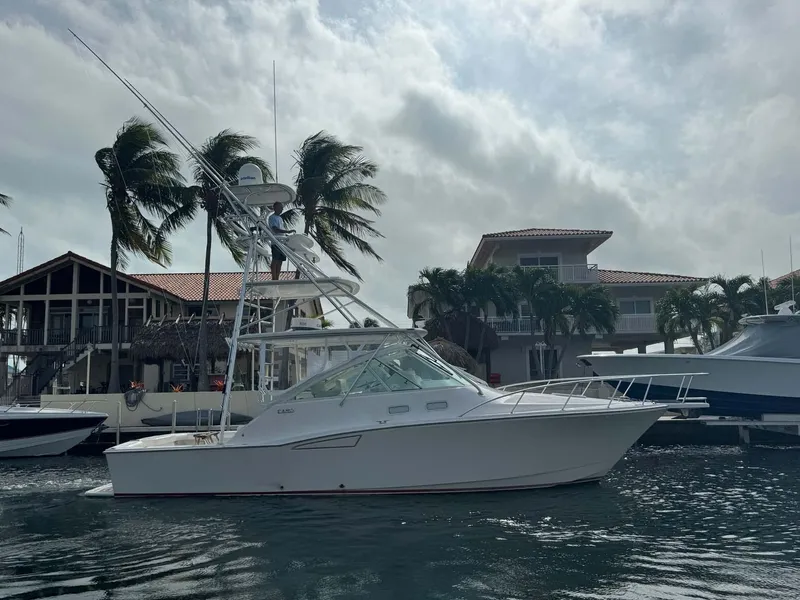 Slide: The Image of 2007 Cabo 35 Express boat docked near waterfront homes and palm trees. - 2