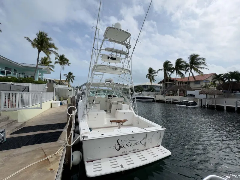 Slide: The Image of 2007 Cabo 35 Express docked in a tropical marina with palm trees. - 7