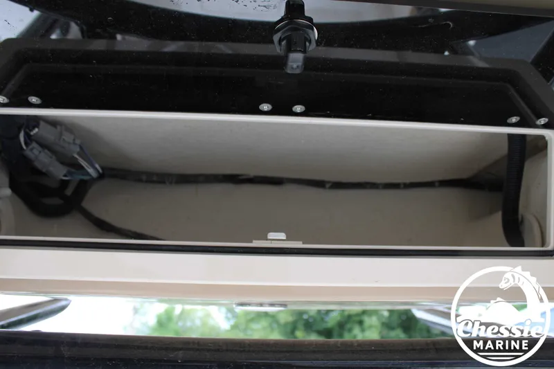 Slide: The Image of Carolina 22 Ultra Elite 2024 - 25