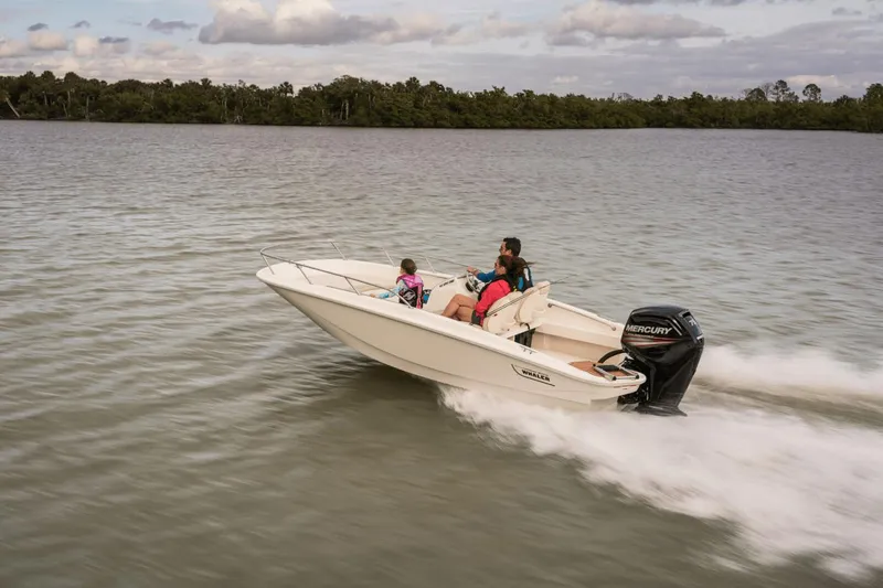 Slide: The Image of Boston Whaler 160 Super Sport 2025 - 16