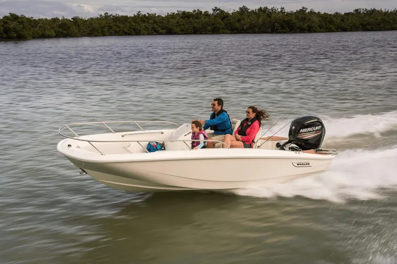 Slide: The Image of Boston Whaler 160 Super Sport 2025 - 17