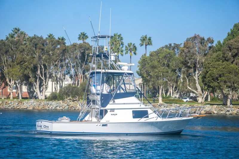 Slide: The Image of Blackfin 32 Flybridge 1987 - 3