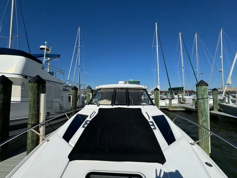 Slide: The Image of 2020 Regal 35 Sport Coupe docked at marina under clear blue sky. - 49