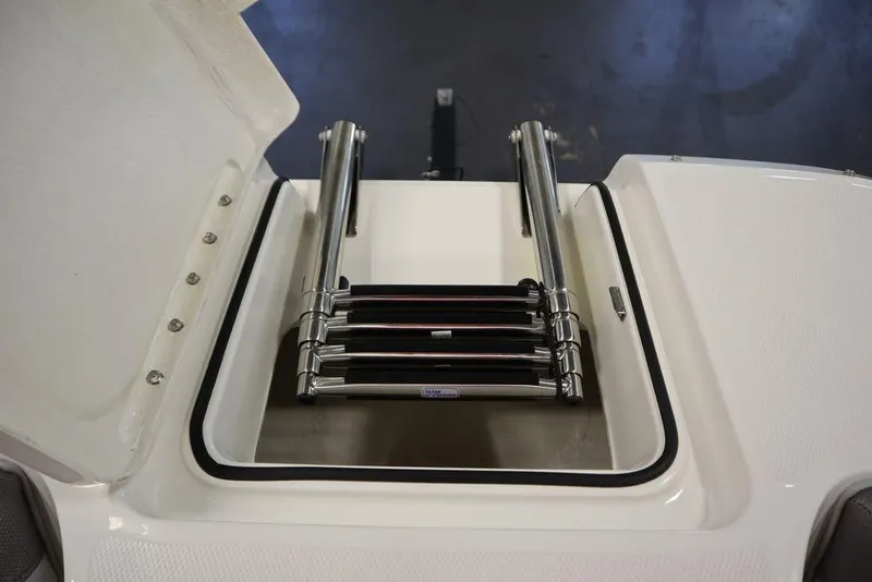 Slide: The Image of 2024 Bayliner 2050 DX boat with retractable swim ladder. - 13