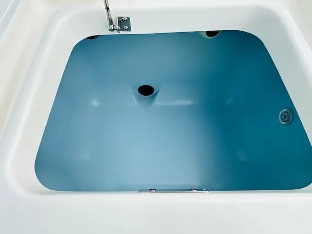 Slide: The Image of 2025 Boston Whaler 250 Dauntless livewell, featuring a spacious blue interior. - 16