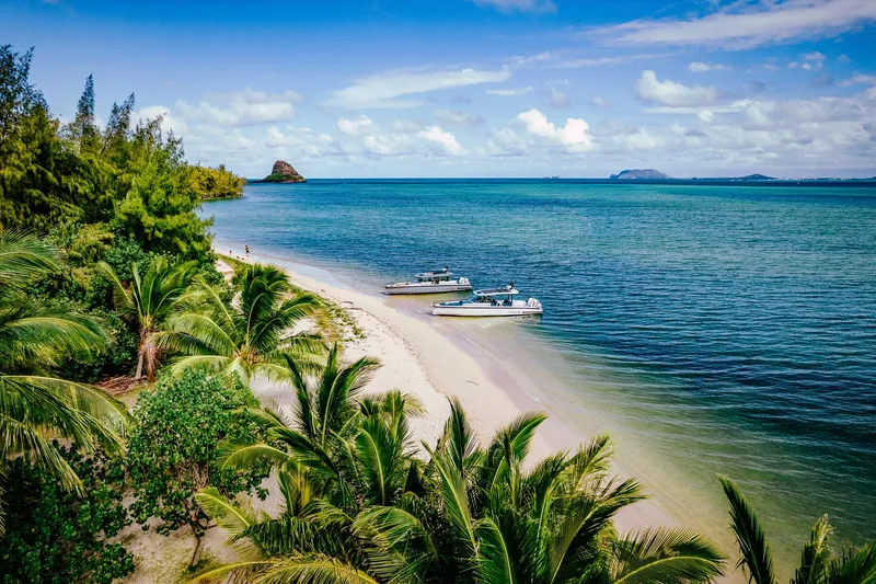 Slide: The Image of Tropical beach with 2023 Axopar 37 Sun-Top Wet Bar boats, lush palm trees, and clear blue water. - 8