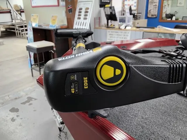 Slide: The Image of Lowe Skorpion 16 2025 - 9