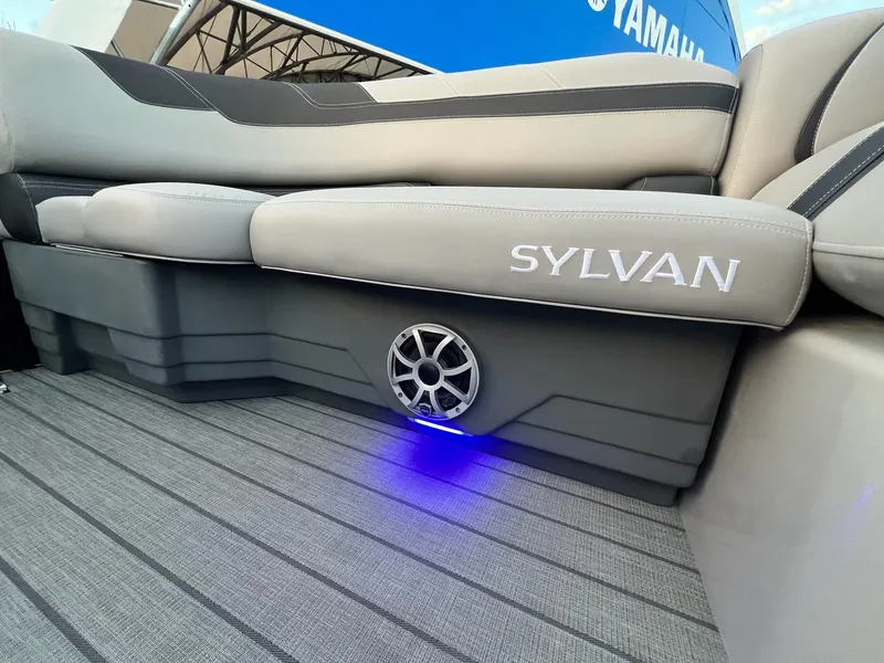 Slide: The Image of Sylvan L3 DLZ Tritoon 2025 - 32