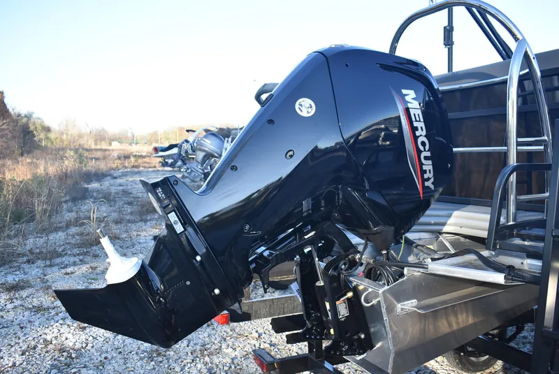 Slide: The Image of 2025 Lowe LS 190 boat with Mercury outboard motor in outdoor setting. - 5