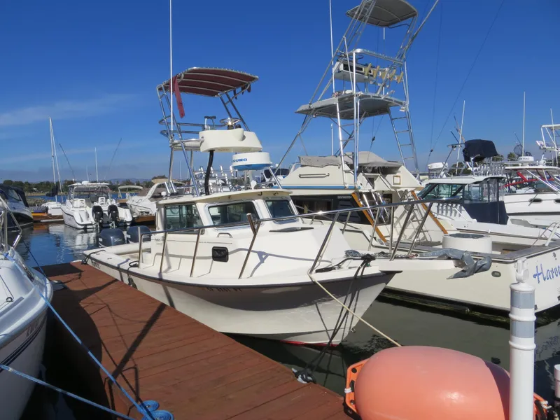 Slide: The Image of Actual Boat - 2