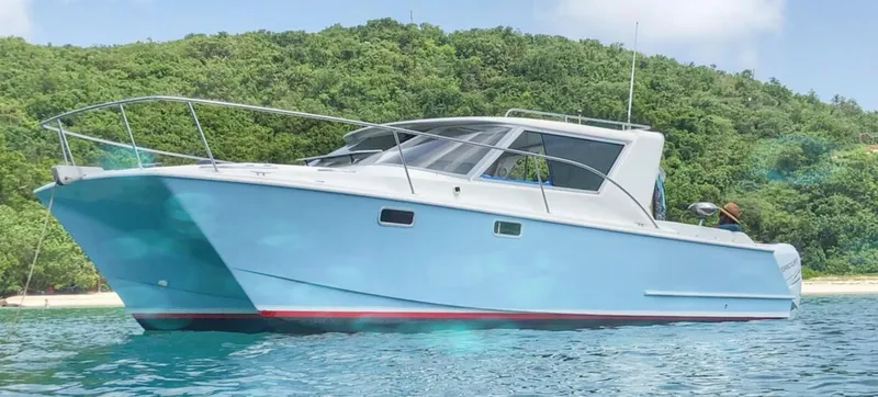 Slide: The Image of 2004 Roger Hill 9.5M boat on water with lush green island backdrop. - 11