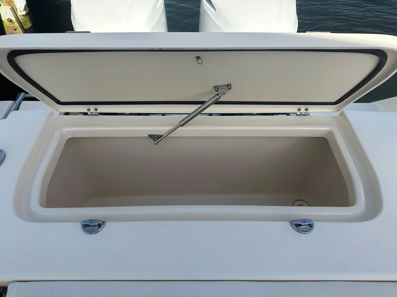 Slide: The Image of Grady-White Freedom 307 2020 - 12