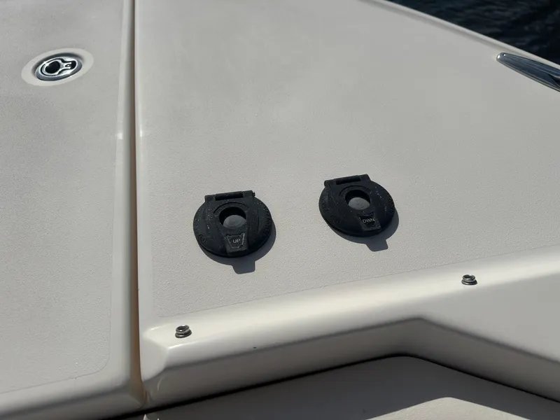 Slide: The Image of Grady-White Freedom 307 2020 - 27