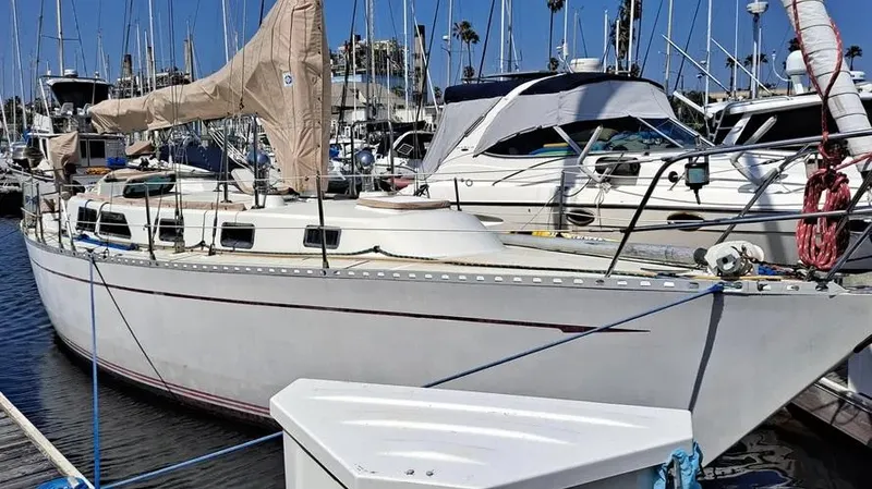 The Image of 1985 Cheoy Lee Pedrick 38w sailboat docked in a marina, surrounded by other boats. - 0