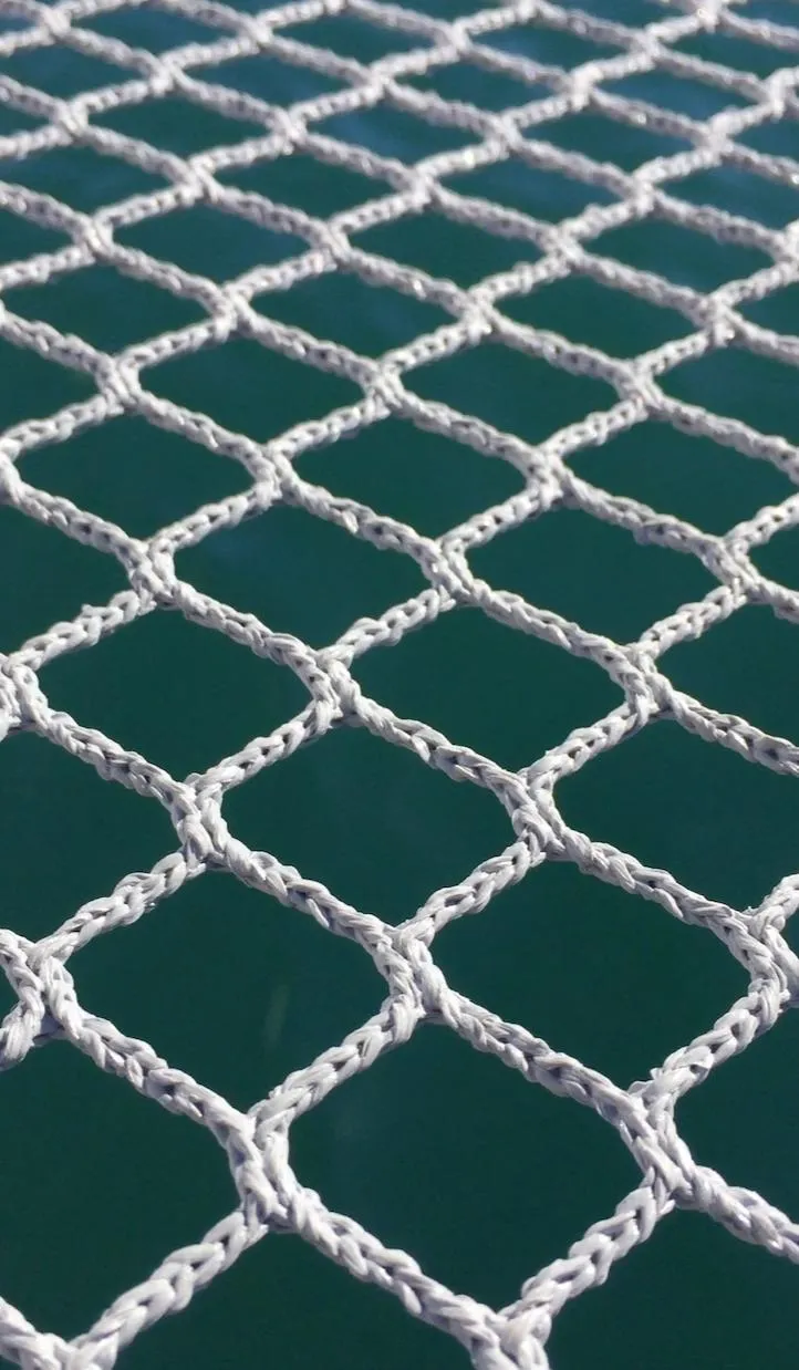 Slide: The Image of White netting on a Corsair 970 Sport 2025 over blue water. - 4