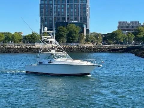 The Image of 1996 Tiara Yachts 43 Open cruising near urban waterfront. - 0