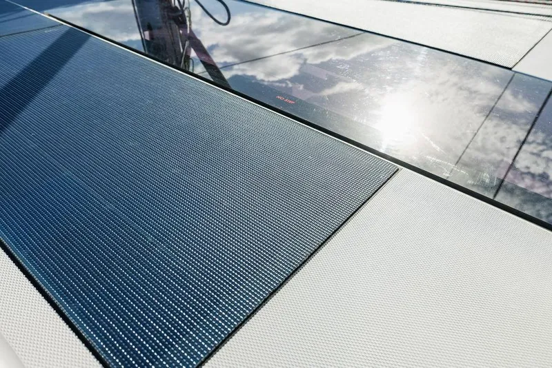 Slide: The Image of Leopard 45 2024 - 105