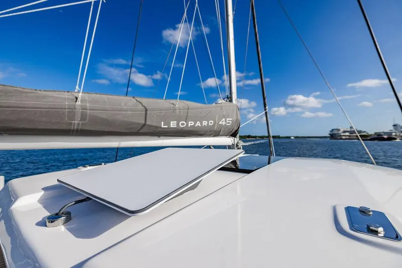 Slide: The Image of Leopard 45 2024 - 106