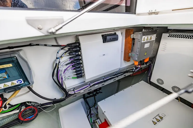 Slide: The Image of Leopard 45 2024 - 127