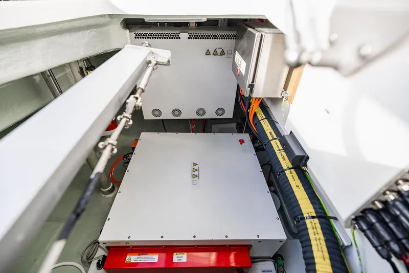 Slide: The Image of Leopard 45 2024 - 129