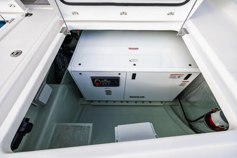 Slide: The Image of Leopard 45 2024 - 135